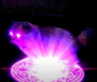 Little demonic cat