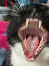 Angry person