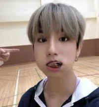 Skz- Han