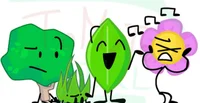 BFB plant siblings