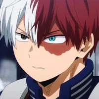 Todoroki shoto 