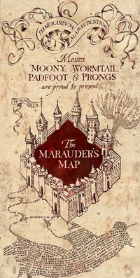 Marauders and Lily