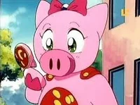 Super Pig 