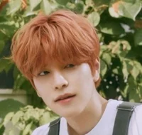 Seungmin 