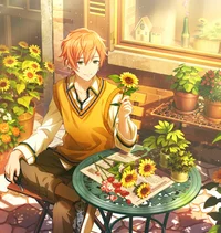 sunflower akito