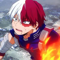 Shoto Todoroki 