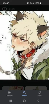 Dog bakugo
