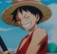 Monkey D Luffy