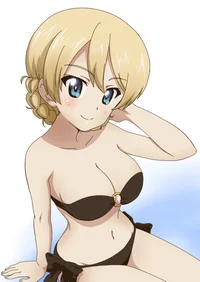 Darjeeling beach ver