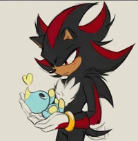 Shadow the hedgehog