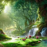 Fairy Kingdom 