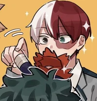 Shoto Todoroki