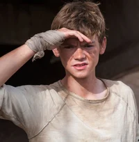 Newt
