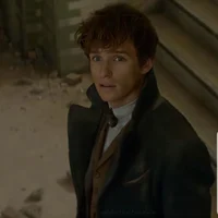 Newt  Scamander 