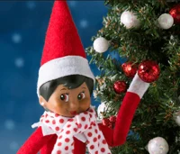 Elf On The Shelf 