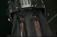 Konig