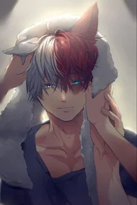 Todoroki