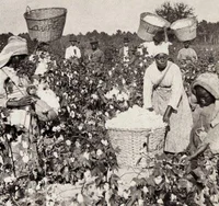 Hantengu brothers P2