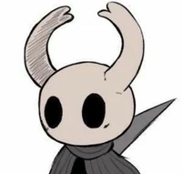 Hollow knight