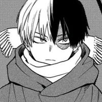 Shoto Todoroki