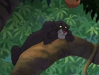 Bagheera