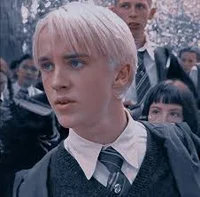 Draco Christmas 