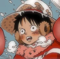 Monkey D Luffy