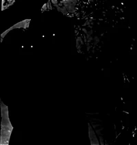 The Sinister Sisters