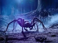 Aragog