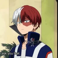 Shoto Todoroki