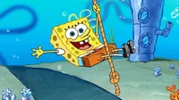 Sponge bob