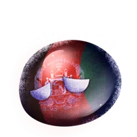 Afghanistanball
