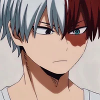 Todoroki shoto 
