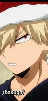 Bakugou Katsuki 