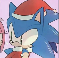 Sonic -Christmas-