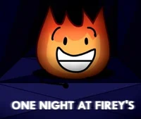 One Night at Fireys