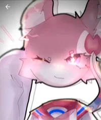 kiralittlechinchilla