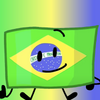 Brazil Flag