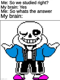 Sans the Skeleton