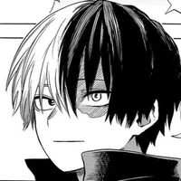 Shoto todoroki