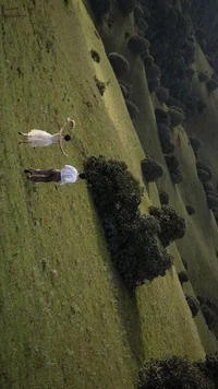 My fictional husband