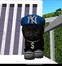 Nochka Cat