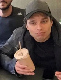 Sebastian Stan 