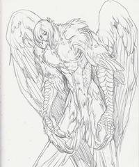 Owl boy