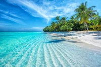 Trapped on an island