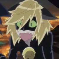 Cat noir - PV