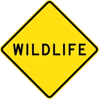 Wildlife