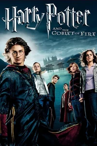 The goblet of fire