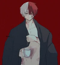 Shoto Todoroki