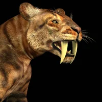 Sabertooth tiger